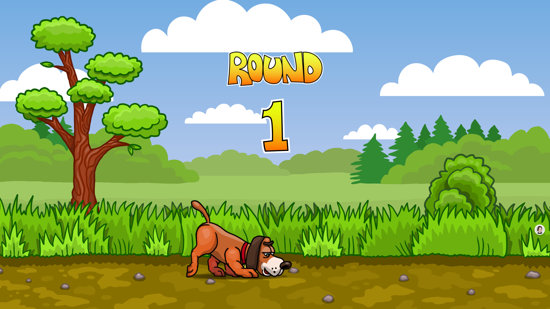 Duck Hunter Screenshot - Sunset Hunting